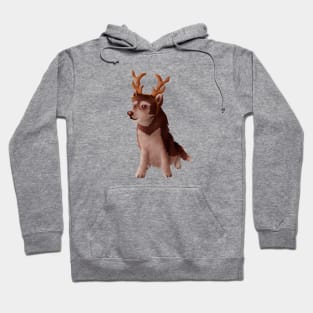 Husky wearing deer antlers Hoodie